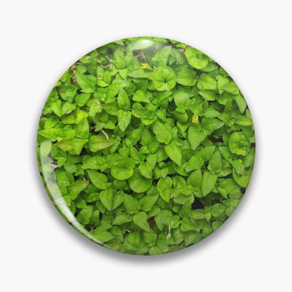 Item preview, Flora arrastrándose Cenicienta Pretty Spring Naturaleza Floral Photography designed and sold by Wizardofpizza.