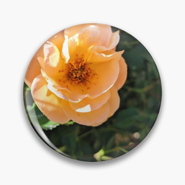 Item preview, Flowers Peach Bengal Roses Pretty Spring Nature Floral Photography designed and sold by Wizardofpizza.