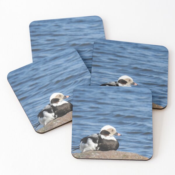 Item preview, The long-tailed duck (Clangula hyemalis) designed and sold by Sintija Valucka.