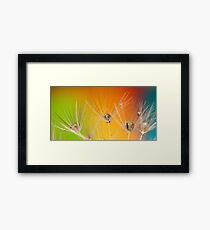 COLOURED DANDELIONS Framed Print