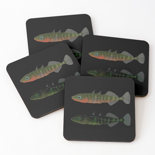 Item preview, Stickleback Fish - Lateral Line Stain designed and sold by WestCoastWoods.