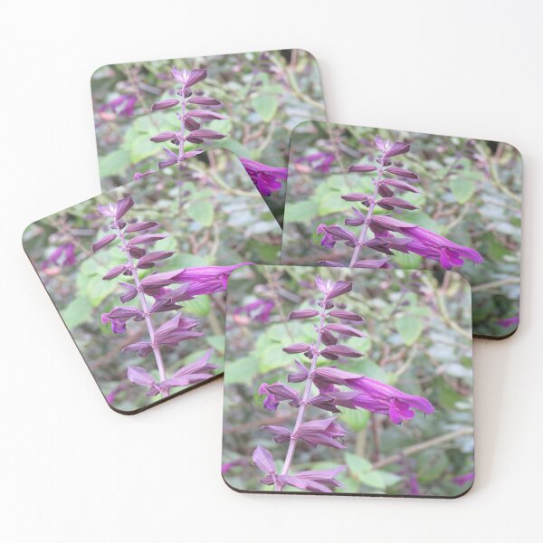 Item preview, Showy purple salvia designed and sold by greentiger1.
