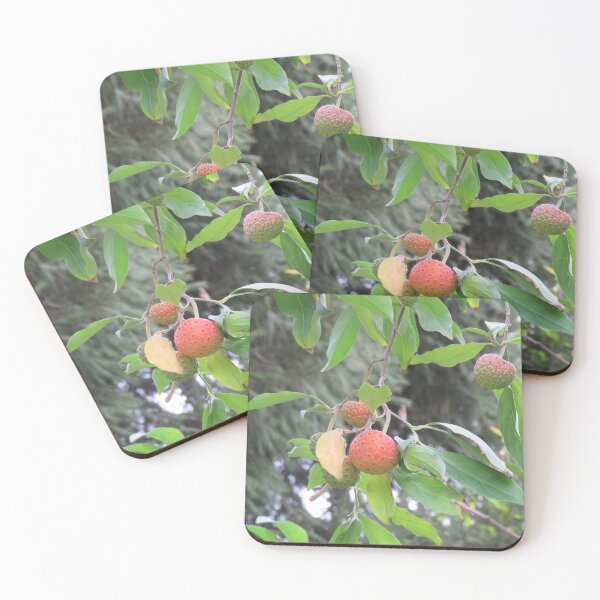Item preview, Strange hanging fruits designed and sold by greentiger1.