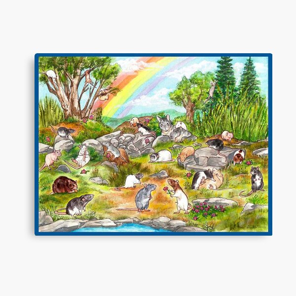 Rainbow Garden Canvas Print