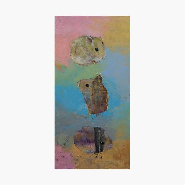 Hamster Poster by Michael Creese - Fine Art America