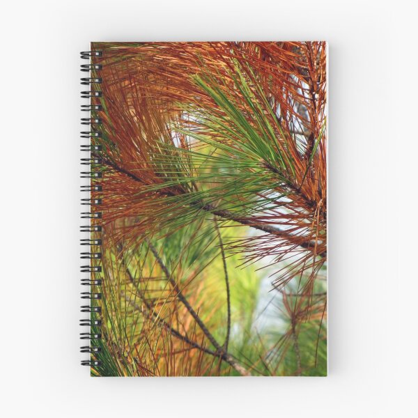 Item preview, pine brush designed and sold by bettymckie.