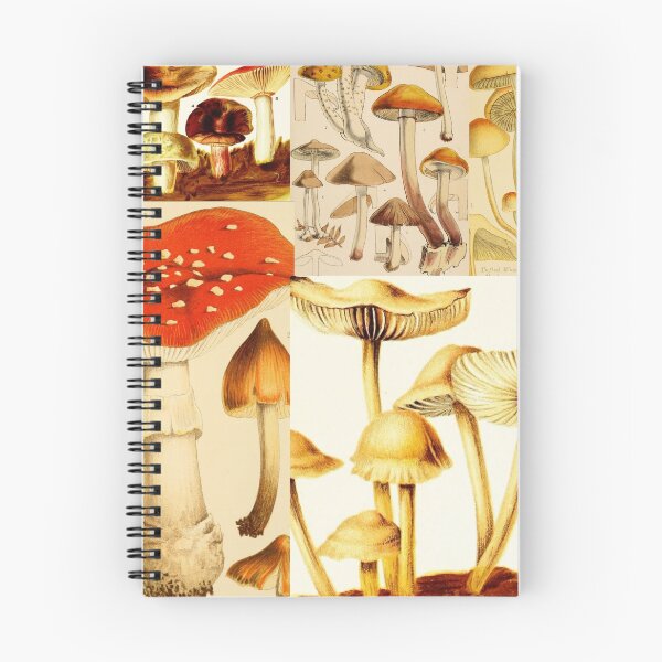 Item preview, Oldish Vintage Mushroom Montage Set #1 designed and sold by Krispsm.