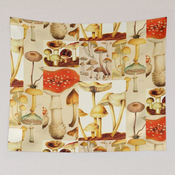 Item preview, Oldish Vintage Mushroom Montage Set #1 designed and sold by Krispsm.