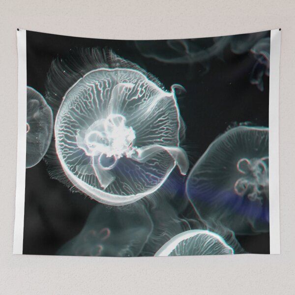 Item preview, Jellyfish animal that is found in ocean also called as Moon Jellyfish. Glowing white color on black background designed and sold by Artsy Boulevard.