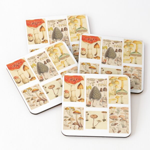 Item preview, Oldish Vintage Mushroom Montage Set #2 designed and sold by Krispsm.