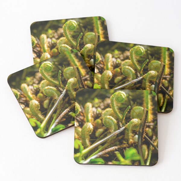 Item preview, New life springs uncurling fern fronds designed and sold by Dalyndigital Photography.