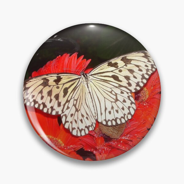 Item preview, Classic colour combo designed and sold by RightSideDown.