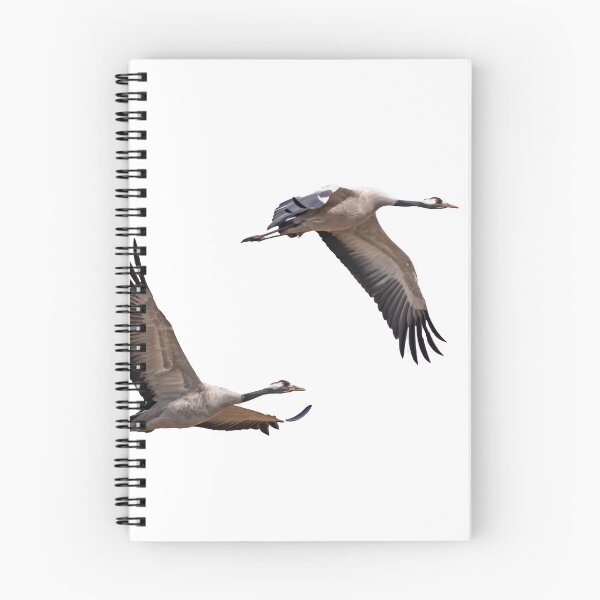 Item preview, Cranes, birds of happiness designed and sold by Ingo Gerlach.