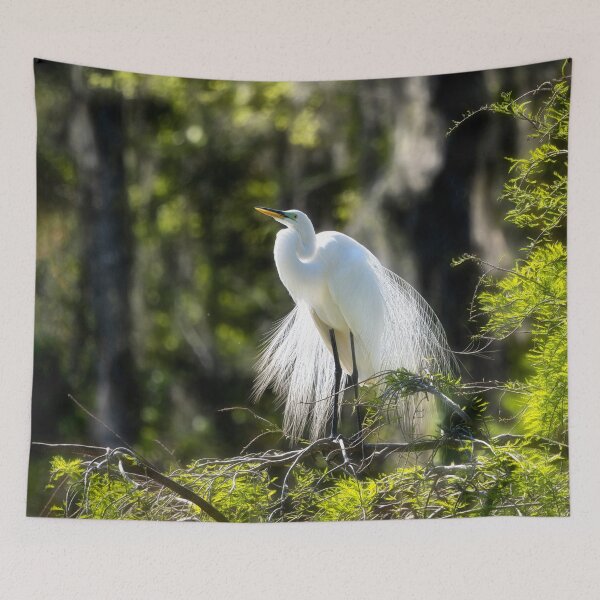 Item preview, Great White Egret - Audubon Swamp garden designed and sold by Kathy Weaver.