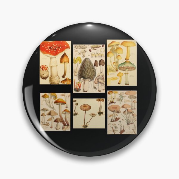 Item preview, Oldish Vintage Mushroom Montage Set #3 designed and sold by Krispsm.
