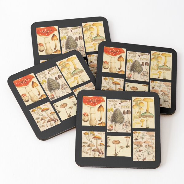 Item preview, Oldish Vintage Mushroom Montage Set #3 designed and sold by Krispsm.
