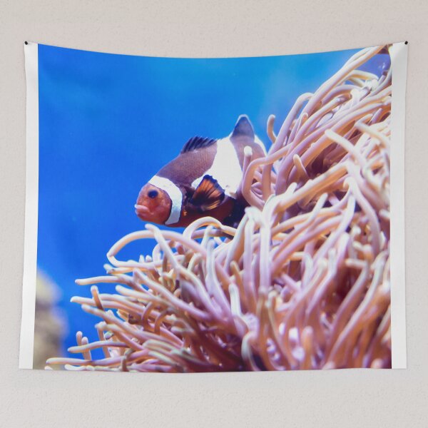 Item preview, Blurry photo of a clownfish or anemonefish and corals in a aquarium for background image of underwater scene designed and sold by Artsy Boulevard.