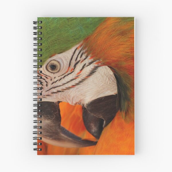 Item preview, Harlequin macaw having a preen designed and sold by macawmad.