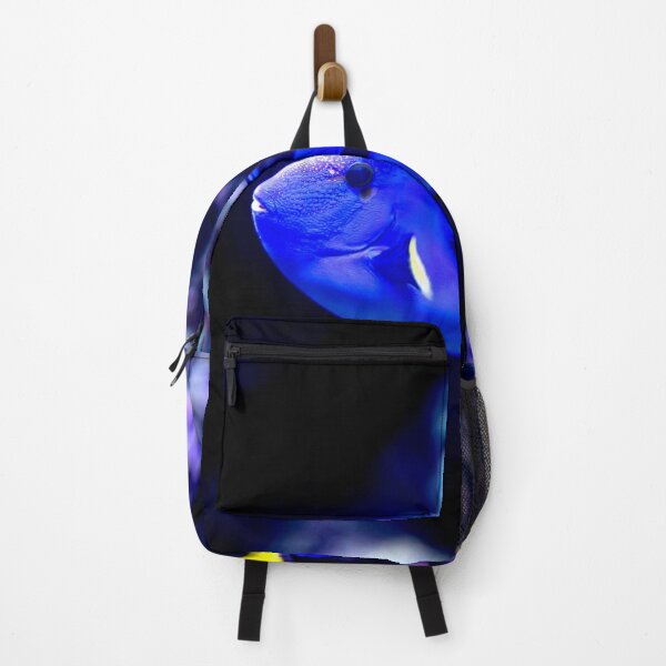 Item preview, Blurry photo of a Blue Tang Fish Paracanthurus hepatus in a Blue Sea Aquarium designed and sold by Artsy Boulevard.