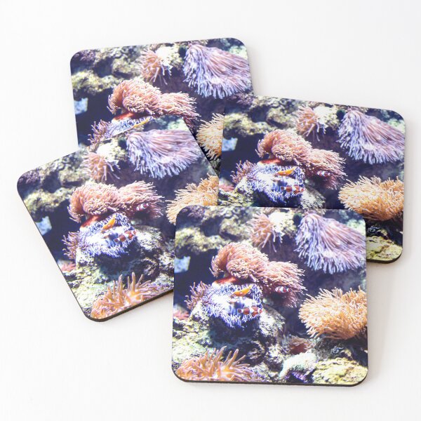 Item preview, Photo of Nemo or Clowfish in corals in a clear aquarium designed and sold by Artsy Boulevard.