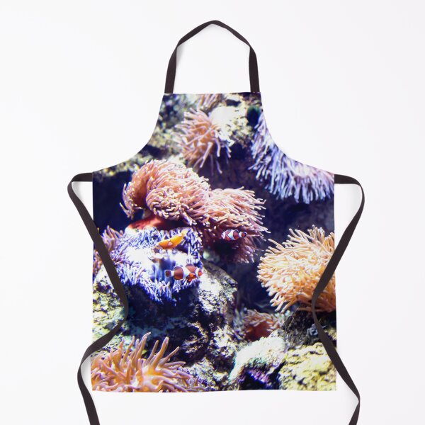 Item preview, Photo of Nemo or Clowfish in corals in a clear aquarium designed and sold by Artsy Boulevard.