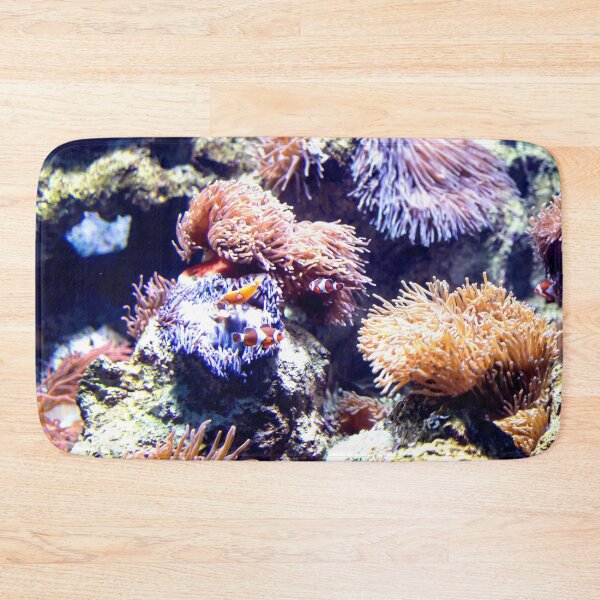 Item preview, Photo of Nemo or Clowfish in corals in a clear aquarium designed and sold by Artsy Boulevard.