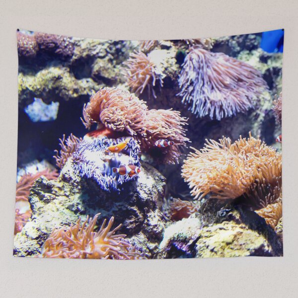 Item preview, Photo of Nemo or Clowfish in corals in a clear aquarium designed and sold by Artsy Boulevard.