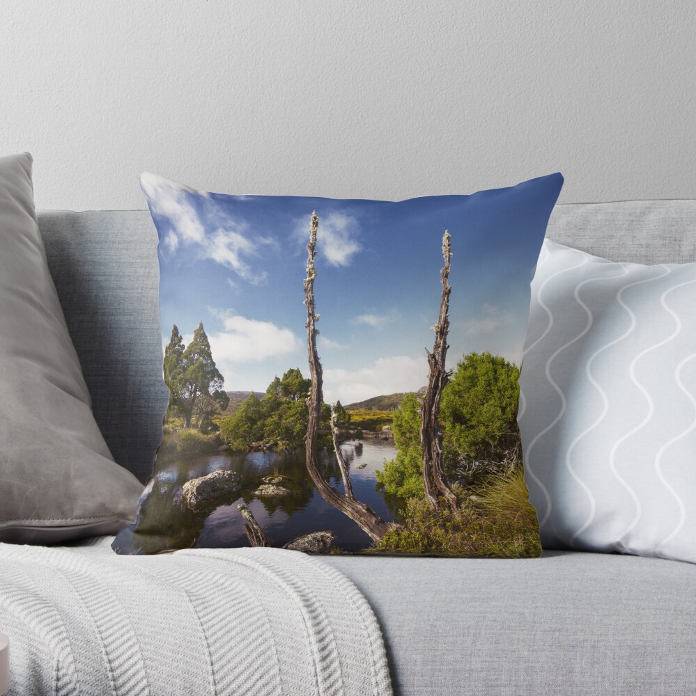 Tarn it Throw Pillow