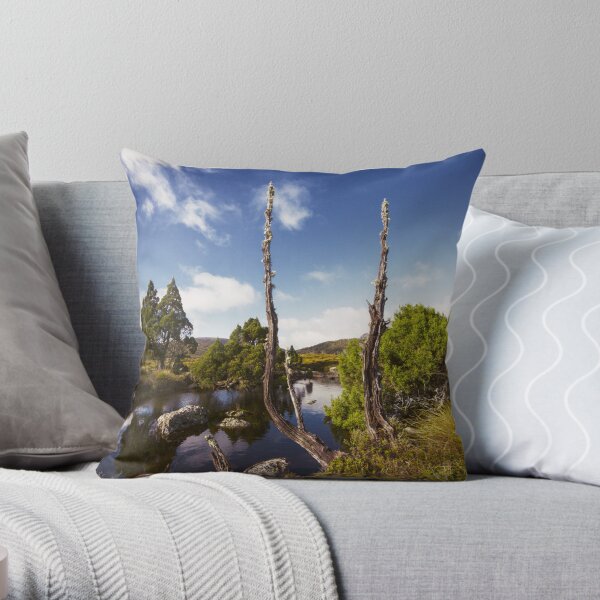 Tarn it Throw Pillow