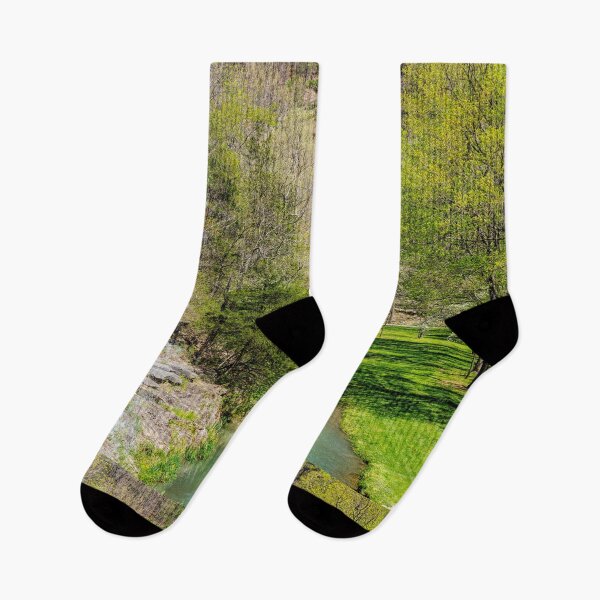 Item preview, Looking Over Dogwood Creek In Spring designed and sold by mljdwhite.