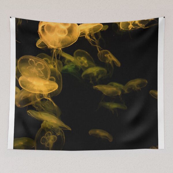 Item preview, Jellyfish animal that is found in ocean also called as Moon Jellyfish designed and sold by Artsy Boulevard.