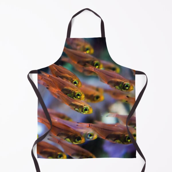 Item preview, photo of a small orange transparent fish that swim as group in a clear aquarium designed and sold by Artsy Boulevard.