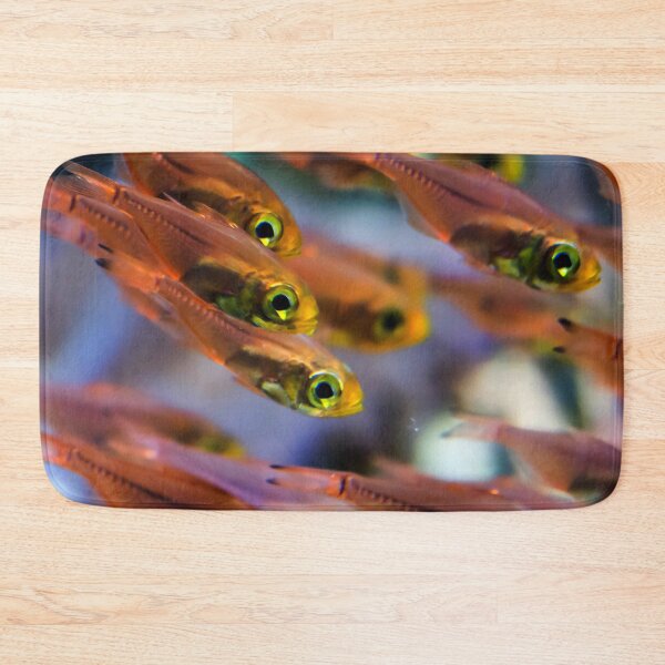 Item preview, photo of a small orange transparent fish that swim as group in a clear aquarium designed and sold by Artsy Boulevard.