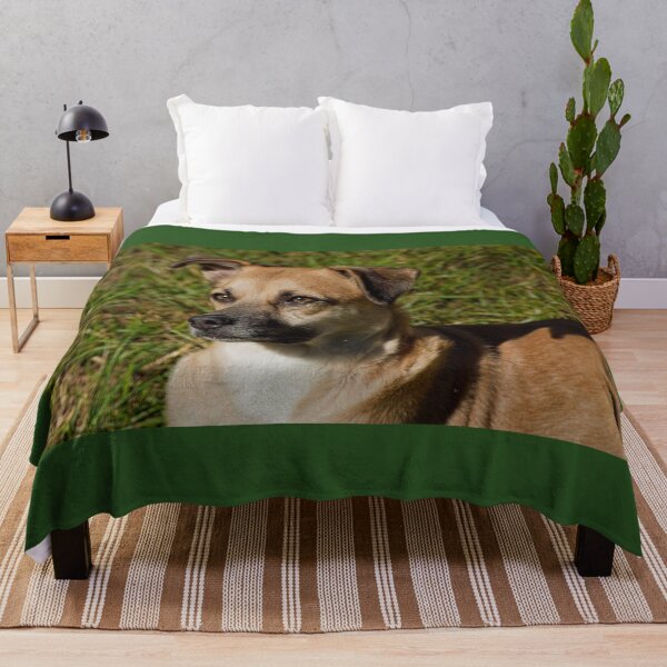 Item preview, Turi Is Our Most Faithful Companion III designed and sold by alabca.