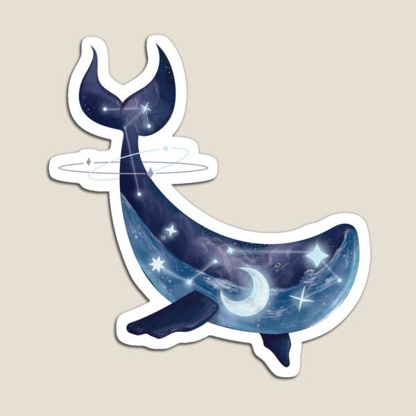 Ceto Magnet