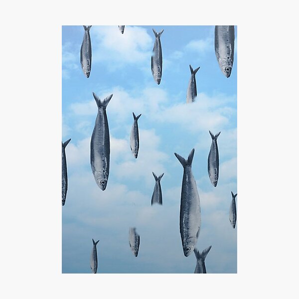 Item preview, Sardine rain designed and sold by CAMILLE CAROSONE.