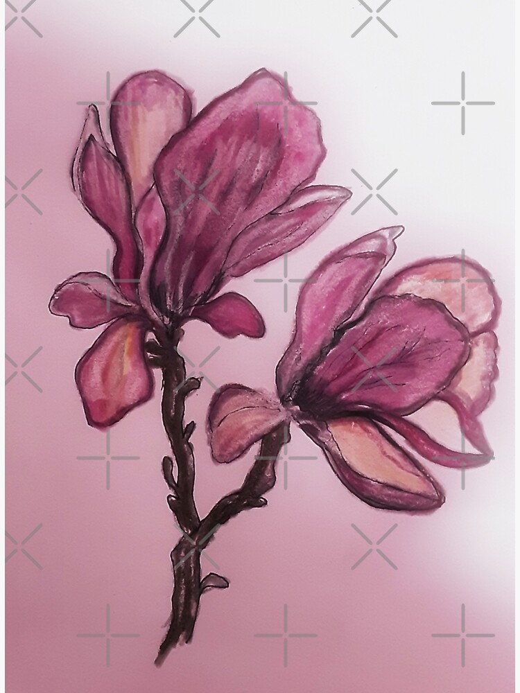 Tarjetas de felicitación «Pintura de magnolia, acuarela floral, dibujo de  flores, flor rosa suave» de ZenArt-Fern | Redbubble