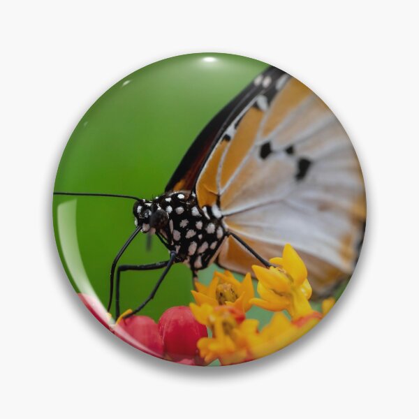 Item preview, Macro shot of  Plain tiger or African monarch butterfly (Danaus chrysippus) in yellow and red flower habitat background. Beautiful Butterfly Portrait Backround designed and sold by Artsy Boulevard.