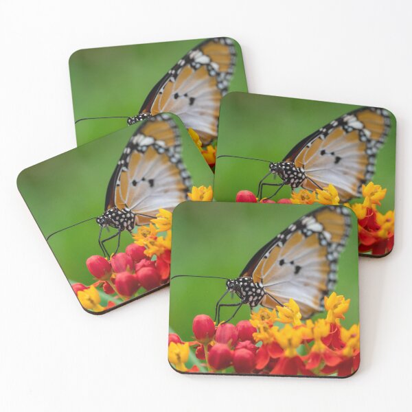 Item preview, Macro shot of  Plain tiger or African monarch butterfly (Danaus chrysippus) in yellow and red flower habitat background. Beautiful Butterfly Portrait Backround designed and sold by Artsy Boulevard.
