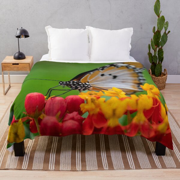 Item preview, Macro shot of  Plain tiger or African monarch butterfly (Danaus chrysippus) in yellow and red flower habitat background. Beautiful Butterfly Portrait Backround designed and sold by Artsy Boulevard.