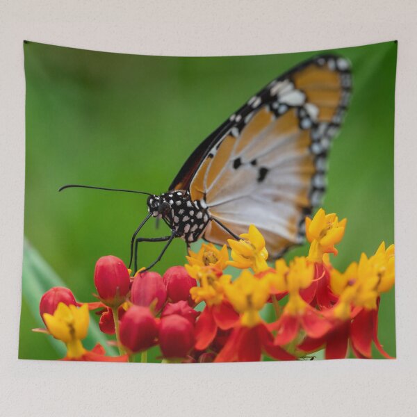 Item preview, Macro shot of  Plain tiger or African monarch butterfly (Danaus chrysippus) in yellow and red flower habitat background. Beautiful Butterfly Portrait Backround designed and sold by Artsy Boulevard.