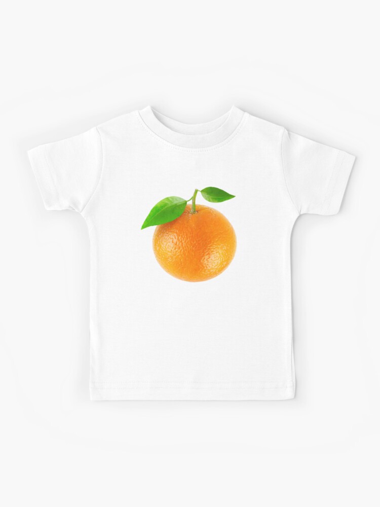 https://ih1.redbubble.net/image.230409990.2969/ra,kids_tee,x900,FFFFFF:97ab1c12de,front-pad,750x1000,f8f8f8.jpg