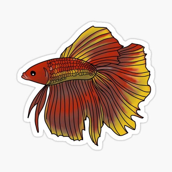 5 Pack Betta Fish Stickers/Magnets/Clings