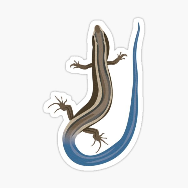 Item preview, Plestiodon skiltonianus designed and sold by An Nuttin.