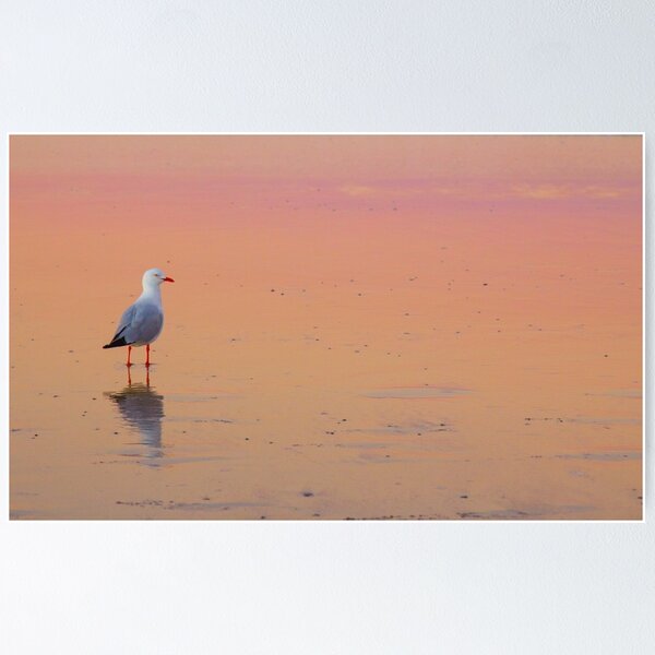 Item preview, Sunset Beach designed and sold by Jade Welch.