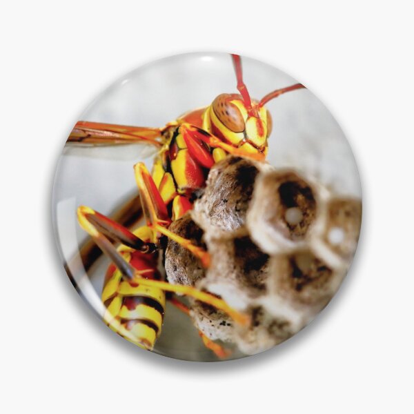 Item preview, Wasp home designed and sold by zumi.