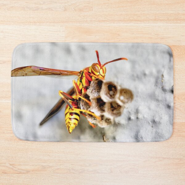 Item preview, Wasp home designed and sold by zumi.