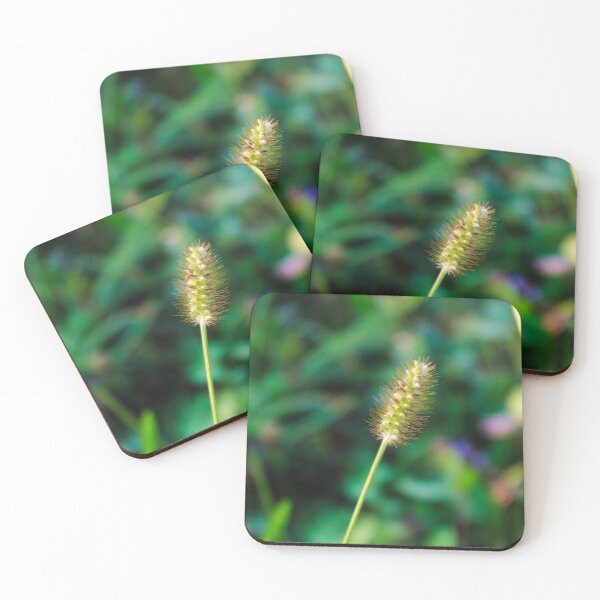 Item preview, Yellow Foxtail grass seed designed and sold by Mahirov Shop.