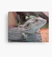 Nevil Metallbild