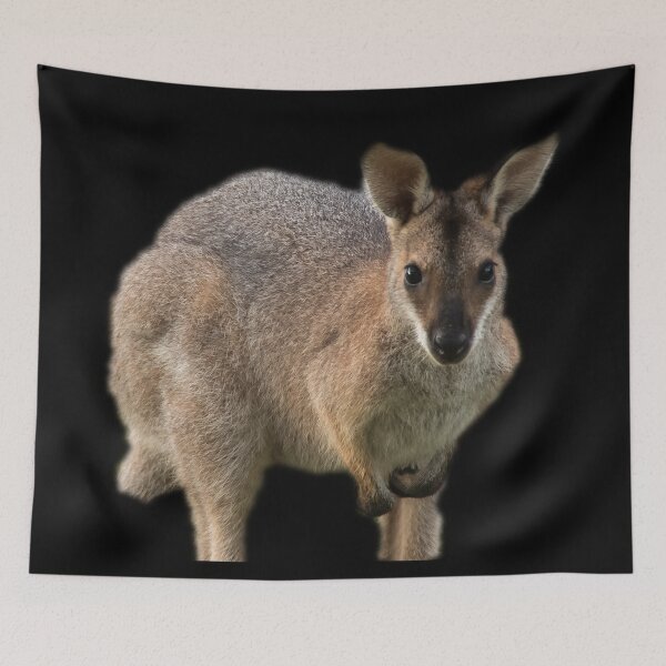Item preview, Wallaby designed and sold by myuniquepet.